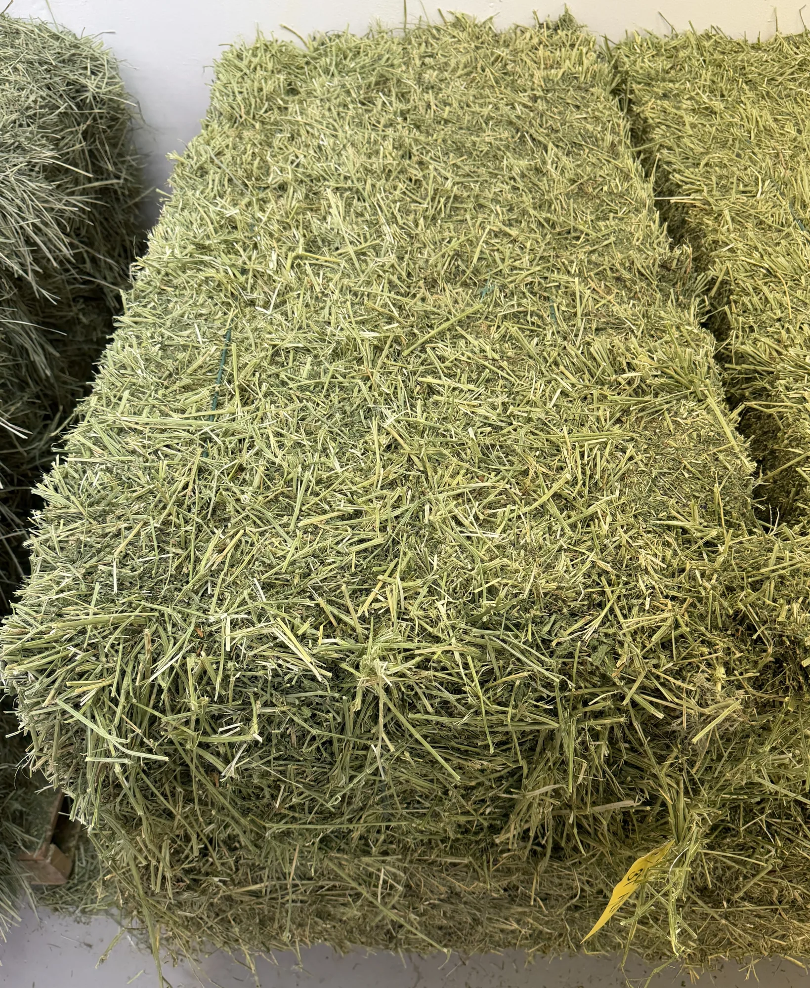 Our hay selection