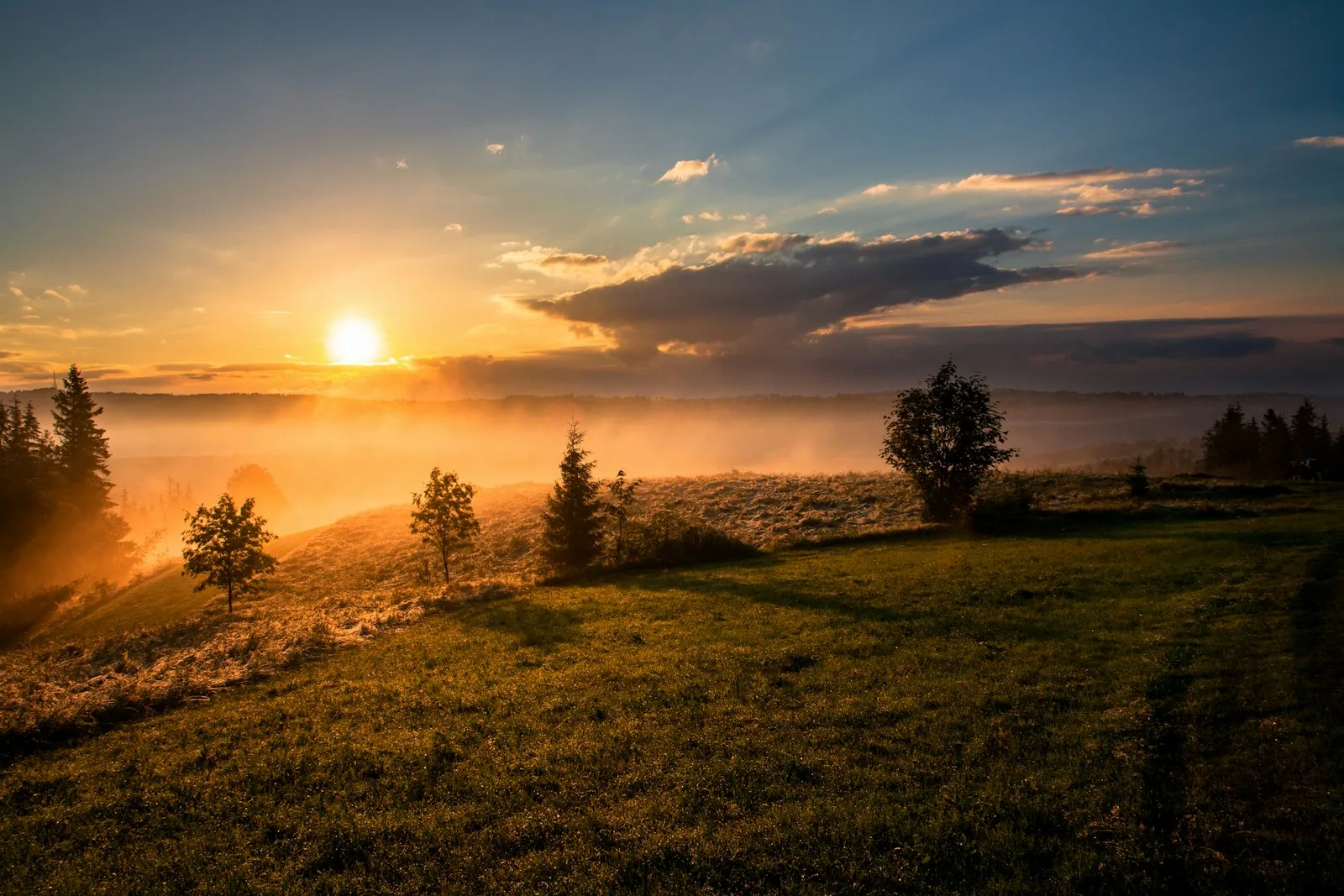 Golden hay field at sunset