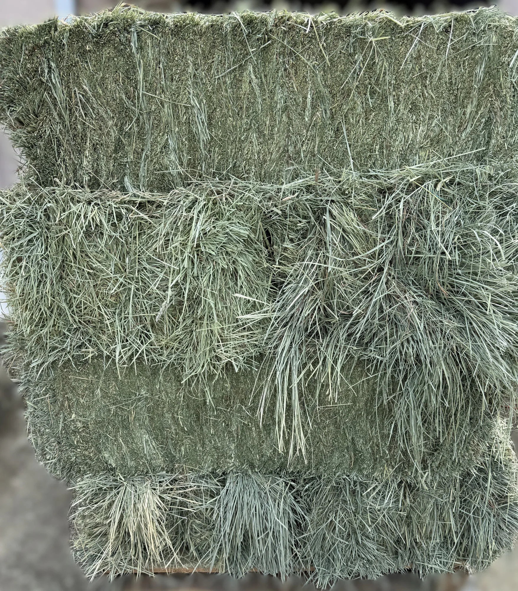 Quality in every bale