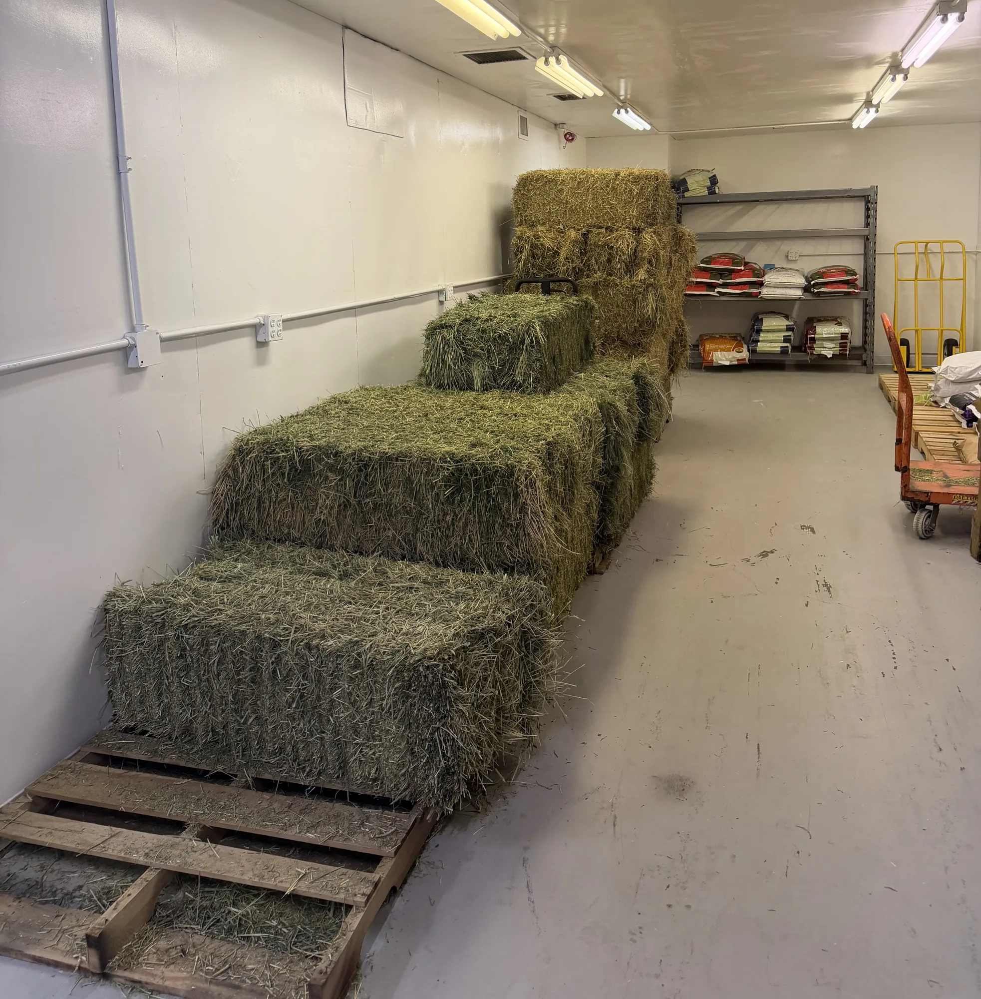 Hay, ready for your barn